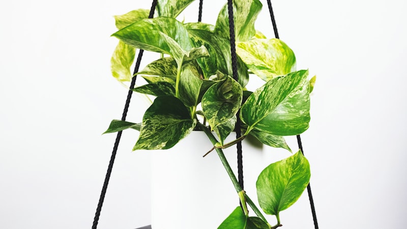 世界杯球队传球网络与控球率分析可视化图表